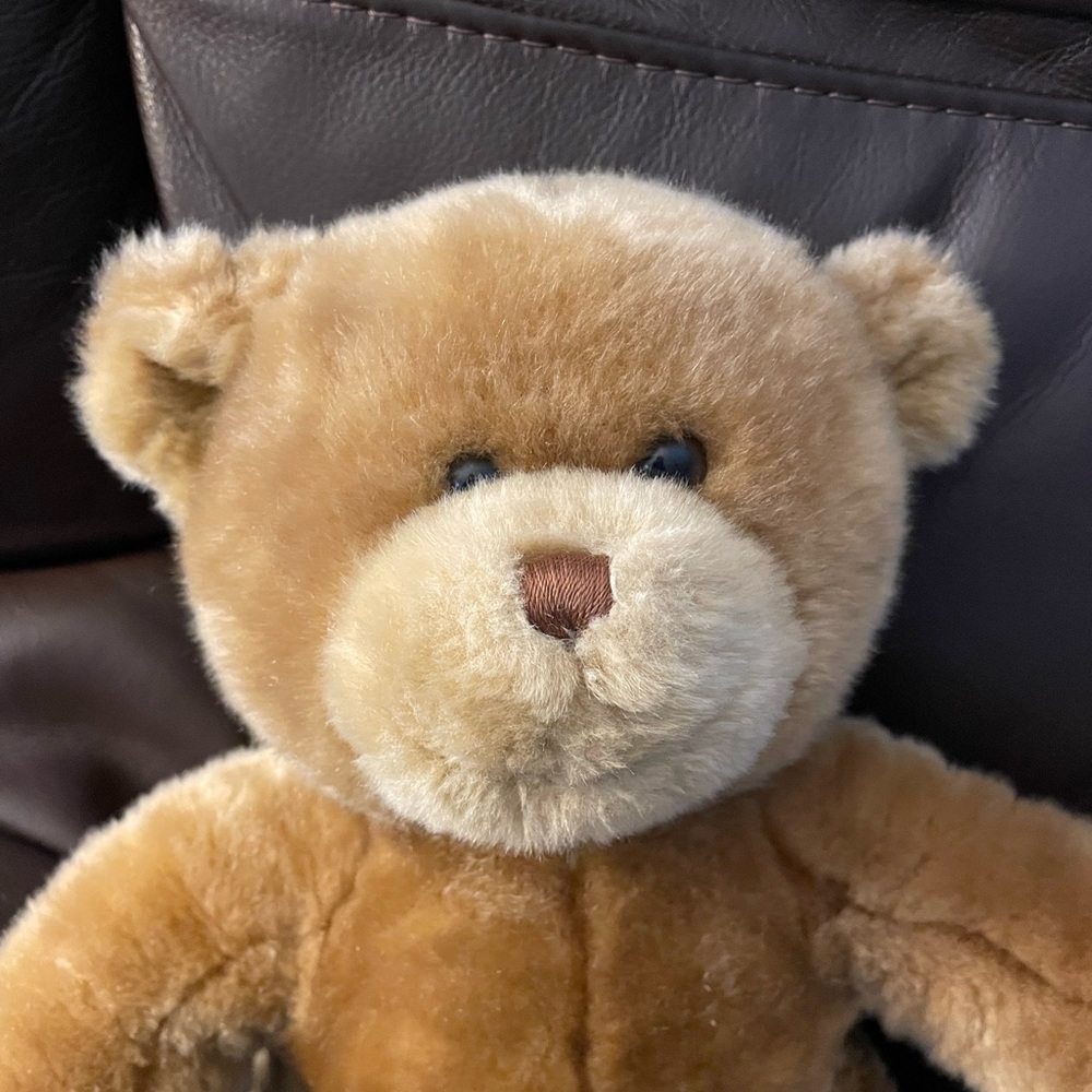 Build-A-Bear Teddy Bear - Picture 2 of 4